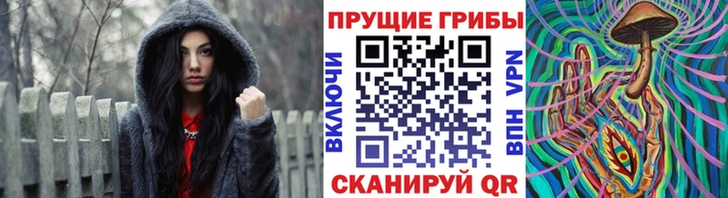 Галлюциногенные грибы Psilocybe  Мамоново 
