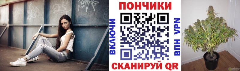 Конопля MAZAR  hydra ТОР  Мамоново  что такое  